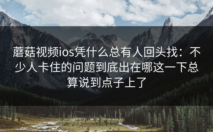 蘑菇视频ios凭什么总有人回头找：不少人卡住的问题到底出在哪这一下总算说到点子上了