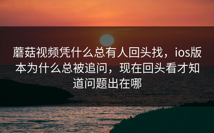 蘑菇视频凭什么总有人回头找，ios版本为什么总被追问，现在回头看才知道问题出在哪
