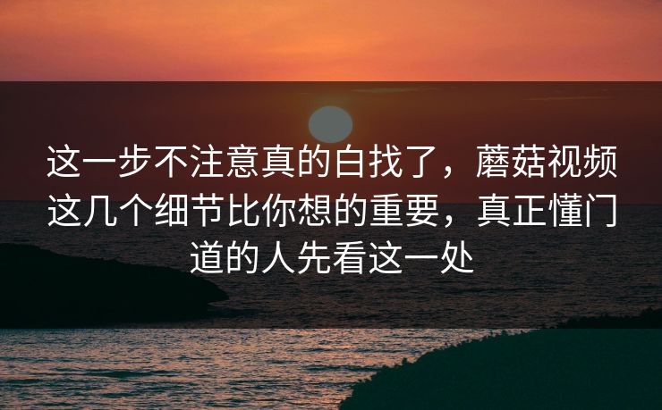 这一步不注意真的白找了，蘑菇视频这几个细节比你想的重要，真正懂门道的人先看这一处
