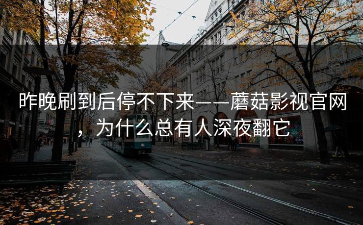 昨晚刷到后停不下来——蘑菇影视官网，为什么总有人深夜翻它