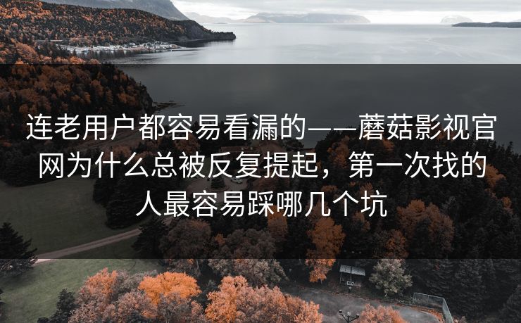 连老用户都容易看漏的——蘑菇影视官网为什么总被反复提起，第一次找的人最容易踩哪几个坑