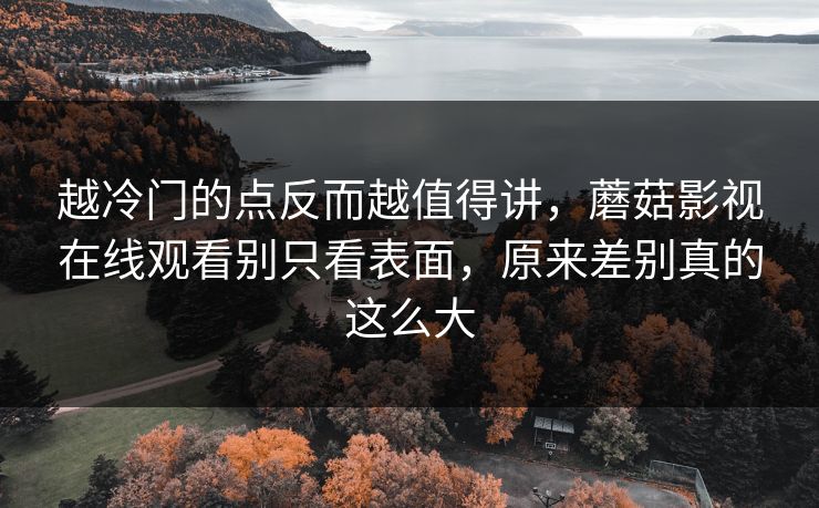 越冷门的点反而越值得讲，蘑菇影视在线观看别只看表面，原来差别真的这么大
