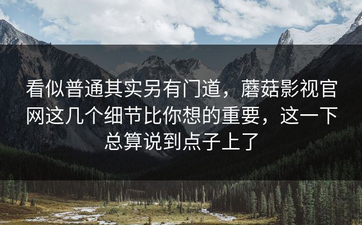 看似普通其实另有门道，蘑菇影视官网这几个细节比你想的重要，这一下总算说到点子上了