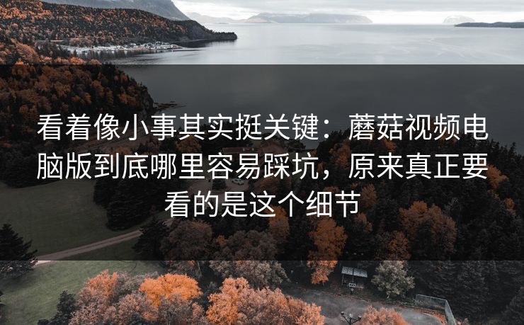 看着像小事其实挺关键:蘑菇视频电脑版到底哪里容易踩坑,原来真正要看的是这个细节 看着像小事其实挺关键:蘑菇视频电脑版到底哪里容易踩坑,原来真正要看的是这个细节