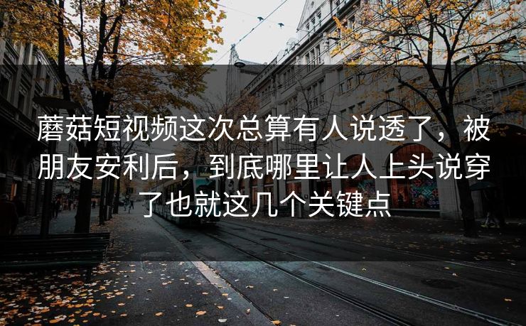 蘑菇短视频这次总算有人说透了，被朋友安利后，到底哪里让人上头说穿了也就这几个关键点